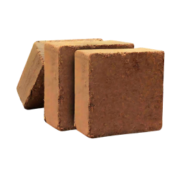 Square Coco Peat Bricks