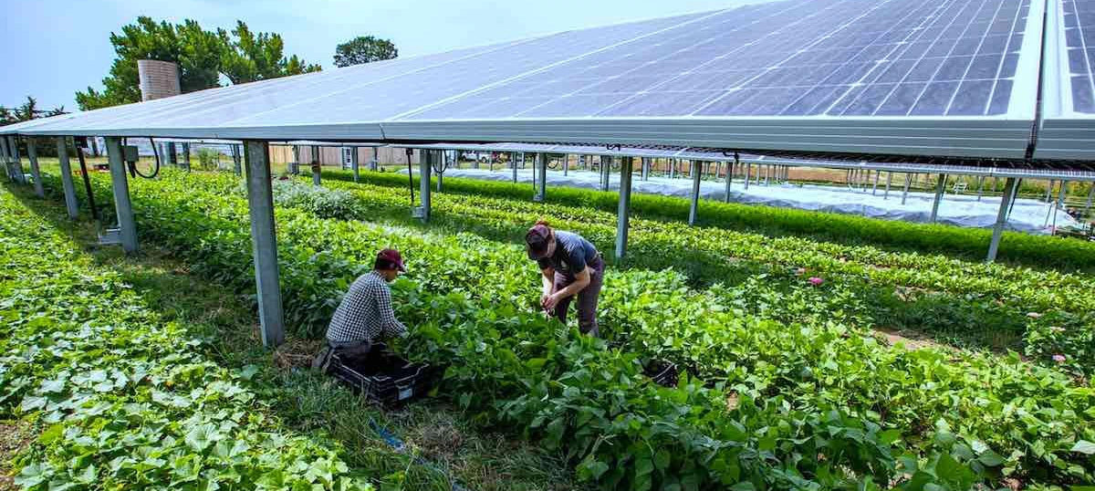 Drip irrigation and Agriculture pipe solutions