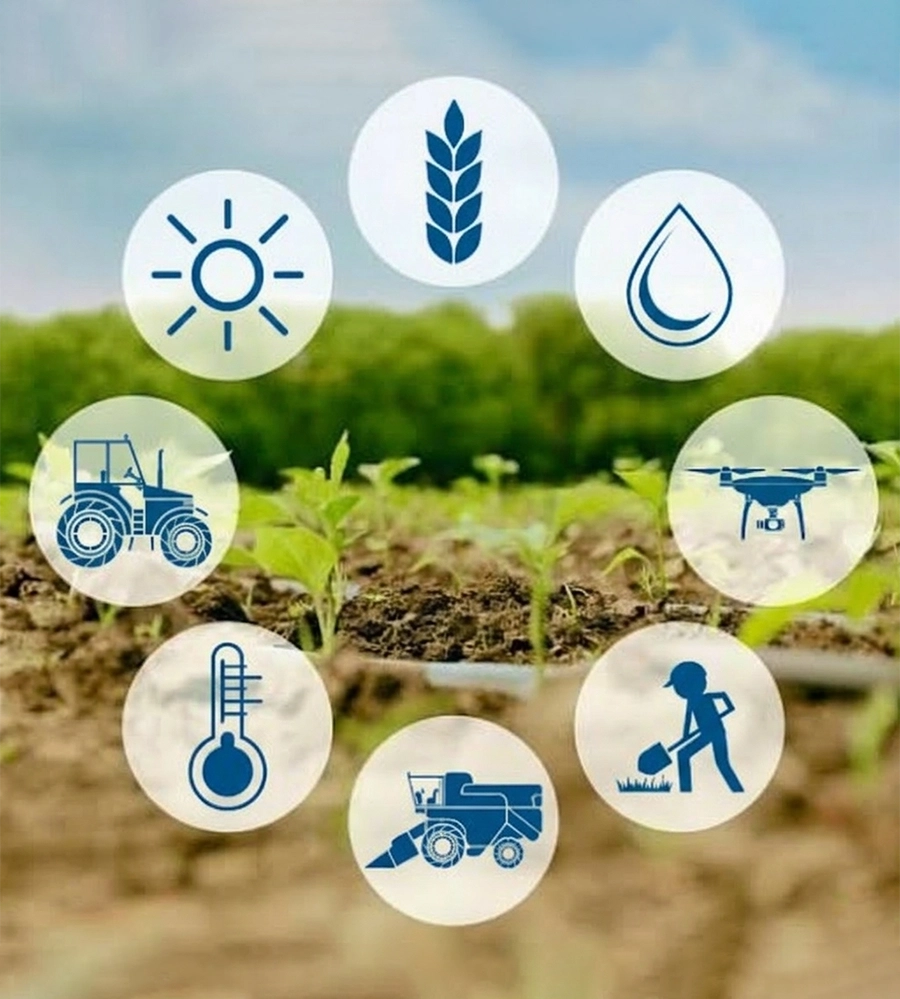 drip irrigation system for agriculture India
